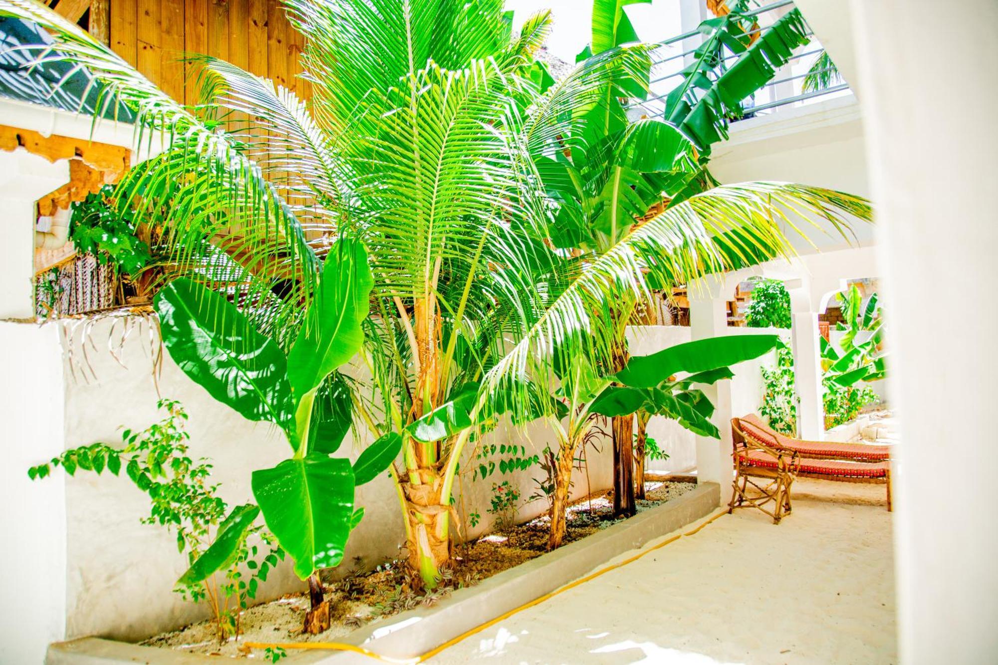 Pamoja Beach Stays Hotel In Jambiani Jambiani  Exterior foto